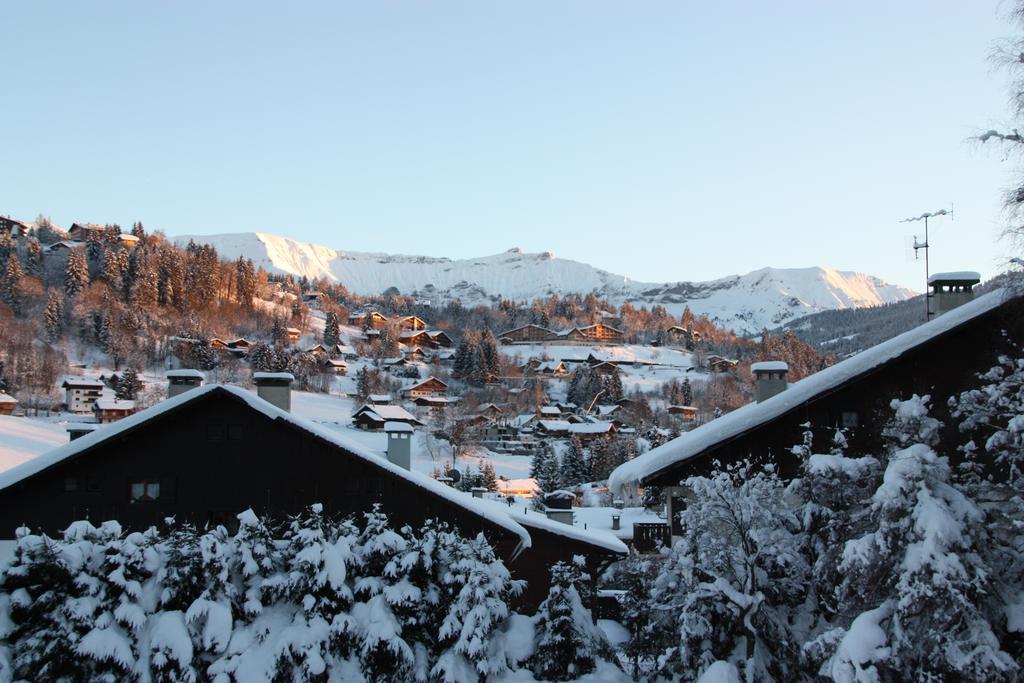 Terrass Park Hotel Megeve Ngoại thất bức ảnh